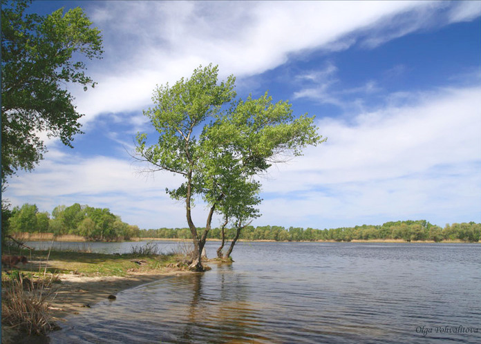 Ветер на реке