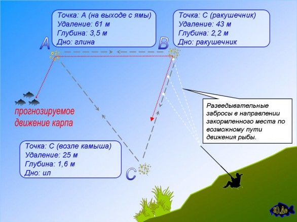 Ловля карпа осенью