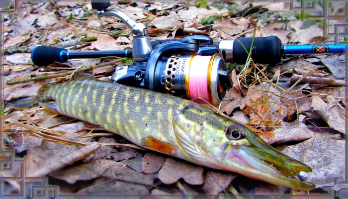 Осенняя рыбалка ну щуку