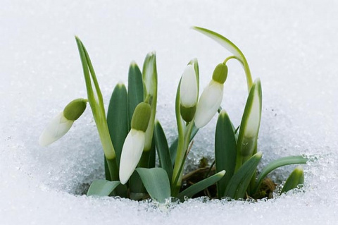 КАЛЕНДАРЬ НА АПРЕЛЬ 2015 г.