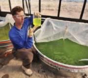 Презентация урока: Водоросли, их разнообразие и значение в природе Сообщение о многообразии водорослей и их значении