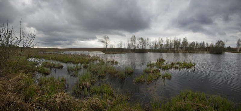 Хмурая весна