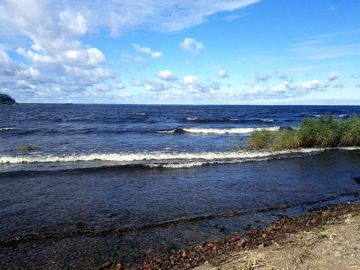 Ладожское озеро рыбалка и виды рыбы