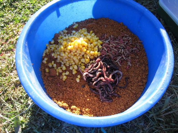 Лещ весной: особенности поведения и его влияние на ловлю