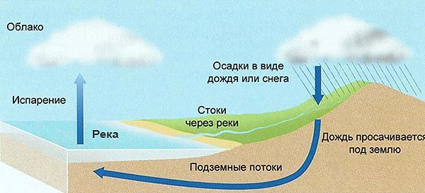 Лещ весной: особенности поведения и его влияние на ловлю