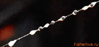 Лещ весной: особенности поведения и его влияние на ловлю