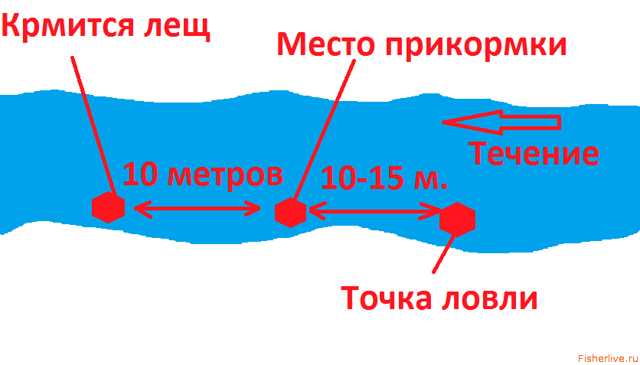 Лещ весной: особенности поведения и его влияние на ловлю
