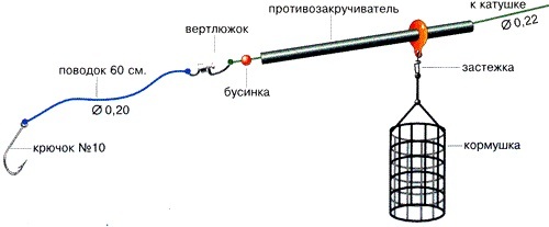 Лещ весной: особенности поведения и его влияние на ловлю