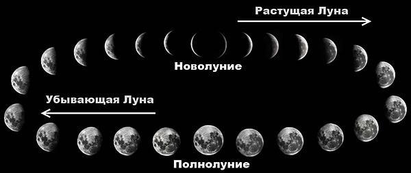 Лещ весной: особенности поведения и его влияние на ловлю