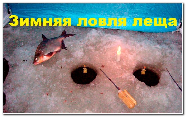 зимняя ловля леща ночью