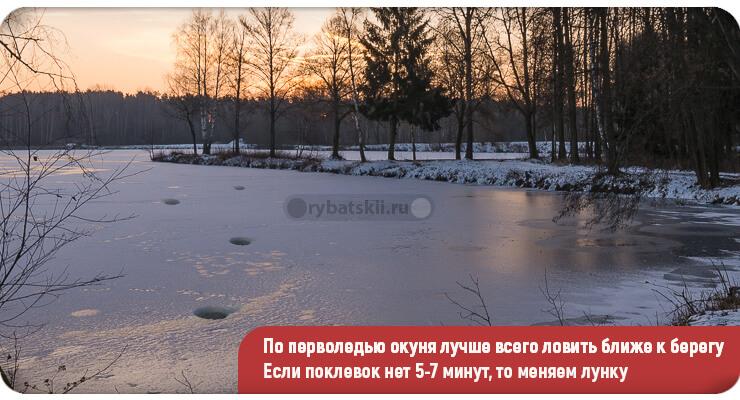 Техника ловли окуня зимой и подбор снастей