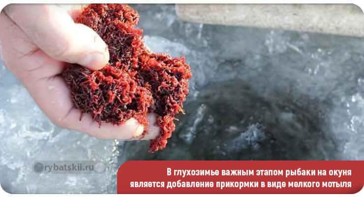 Прикармливание мелким мотылём