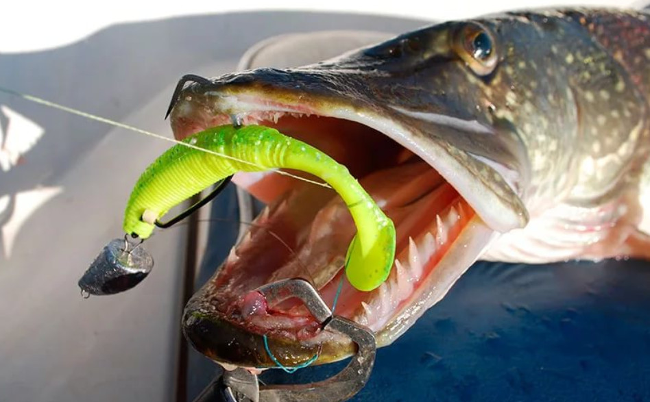 Ловля щуки осенью на спиннинг: выбор лучшей снасти и правильная техника