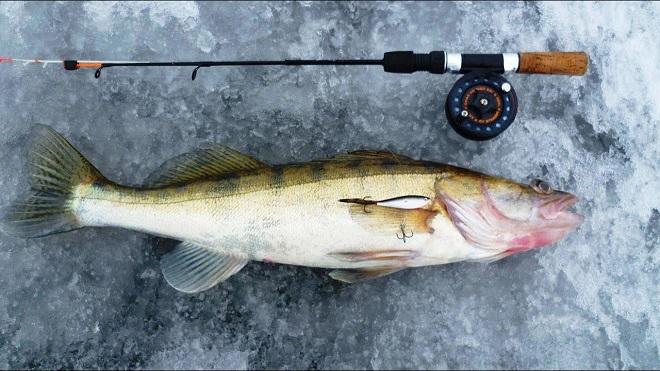 удочка на хищника