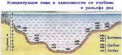 Ловля на фидер осенью: в сентябре, октябре и ноябре
