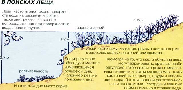 Осенний фидер