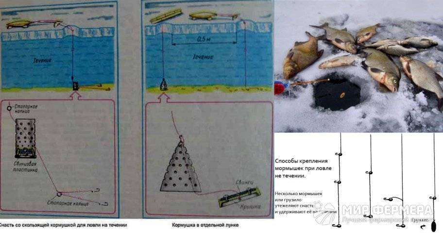 Ловля на фидер осенью в сентябре, октябре, ноябре