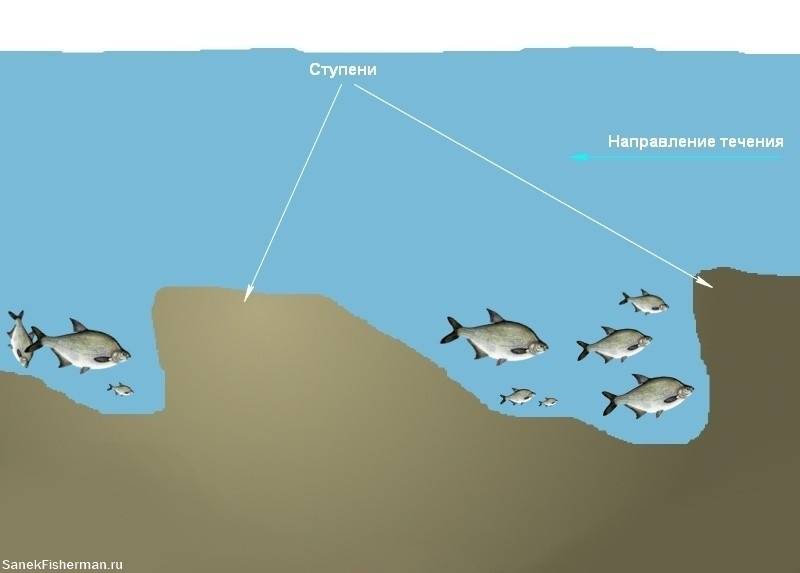 Погода для ловли леща. 3 фактора | активный клев леща