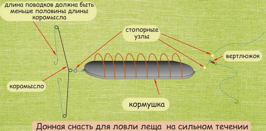 Ловля рыбы в октябре