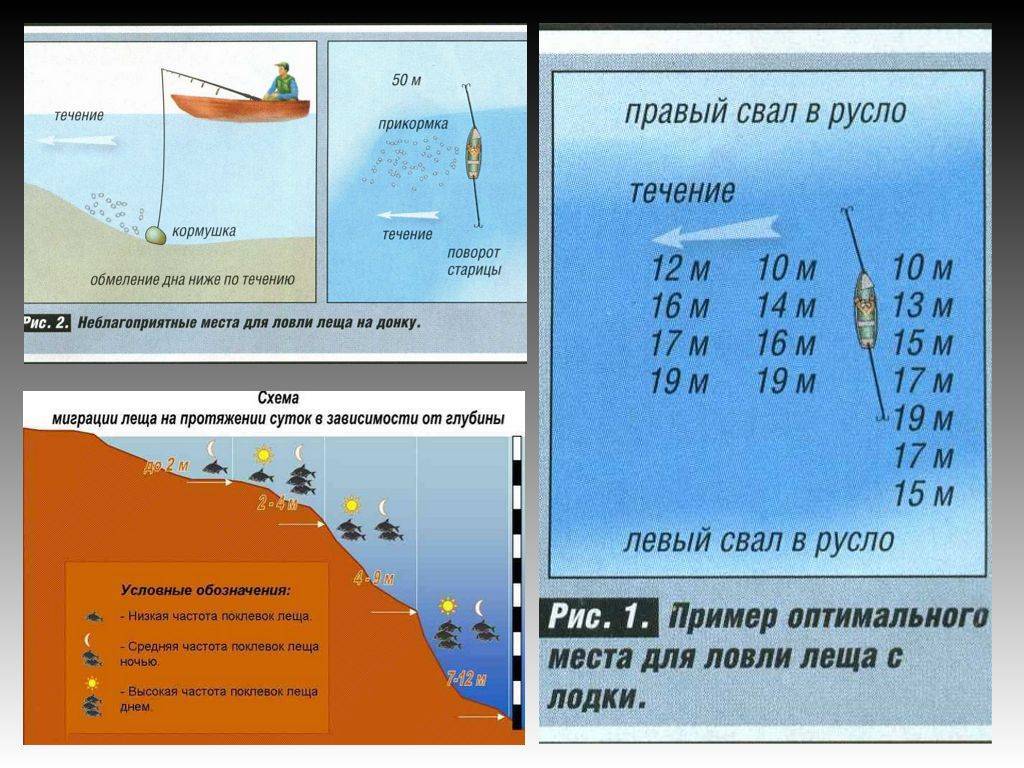 Рыбалка в октябре: какую рыбу ловить в октябре