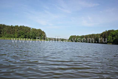 Лучшая погода для рыбалки, факторы влияющие на клёв