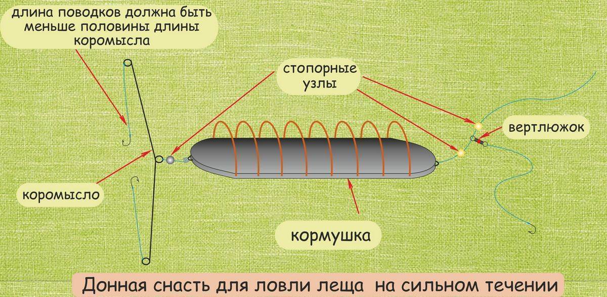 Ловля леща осенью на фидер в сентябре, октябре и ноябре - приманки, прикормка, техника ловли
