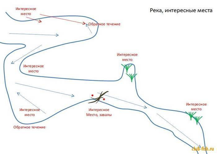 Ловля леща осенью: как различается рыбалка в октябре и ноябре