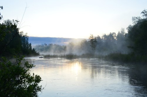 Рыболовный календарь на июнь 2020 года