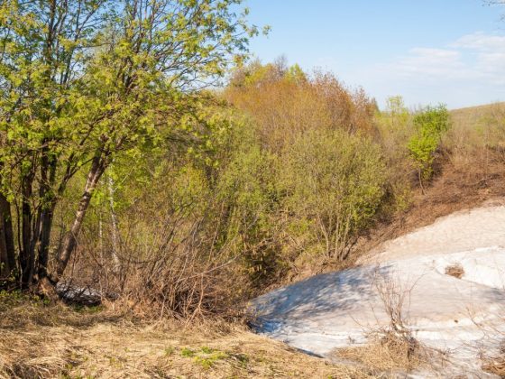 Народные приметы на апрель на каждый день