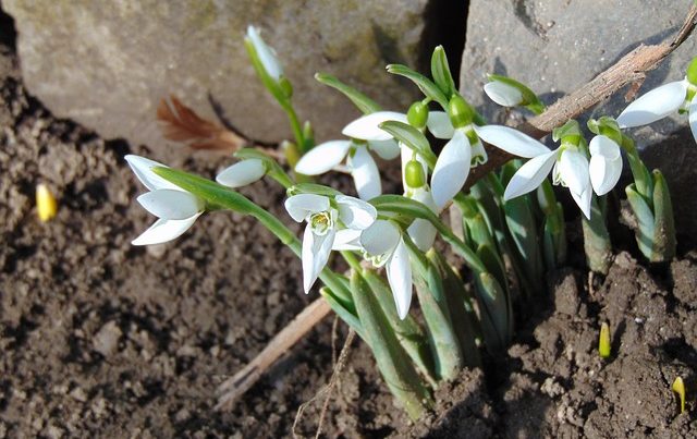 народные приметы апреля