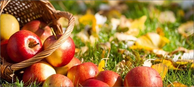 яблоки-в-корзинке