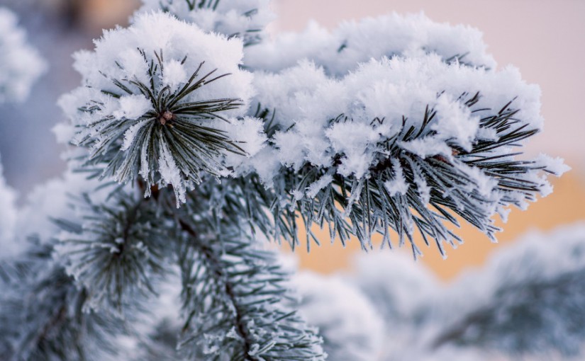 Народные приметы на февраль 2021 года