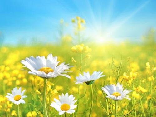 Народные приметы на июль 2020 года