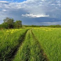 народные приметы на июнь