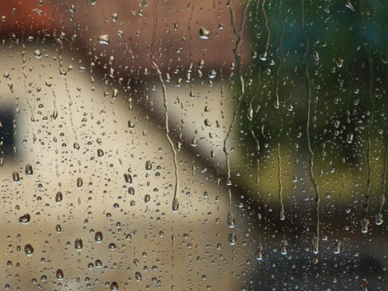 Северный ветер предвещает ливень