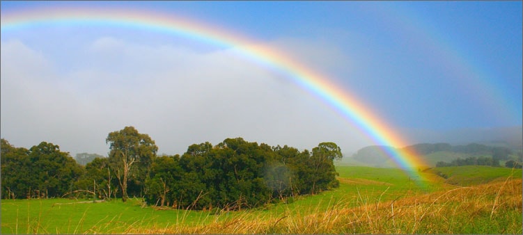 радуга-летом