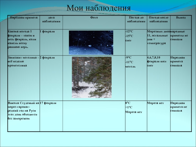Мои наблюдения