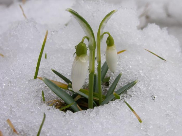 Народные приметы на март 2020 года на каждый день