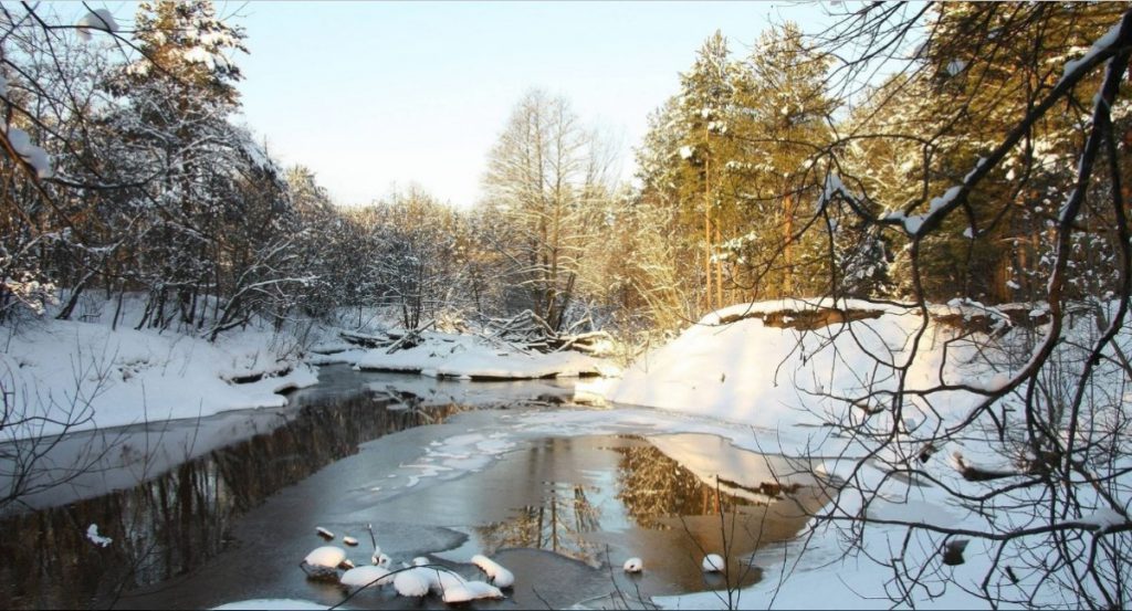 Народные приметы на март 2020 года на каждый день