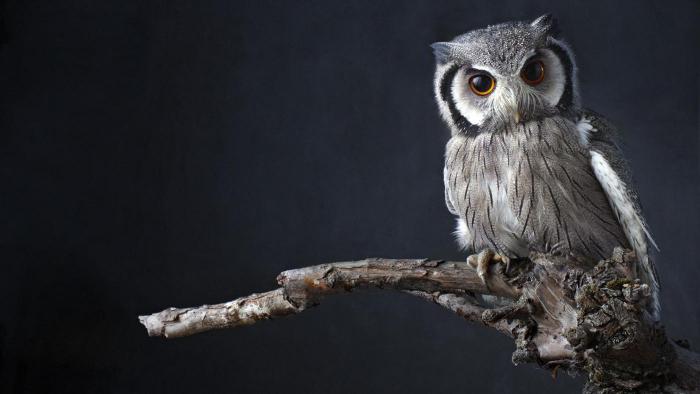 народные приметы о погоде на март