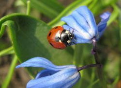 народные приметы на май