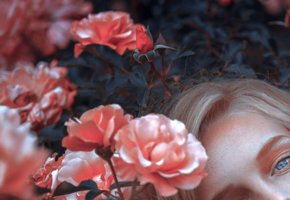 Марина – значение имени, характер и судьба