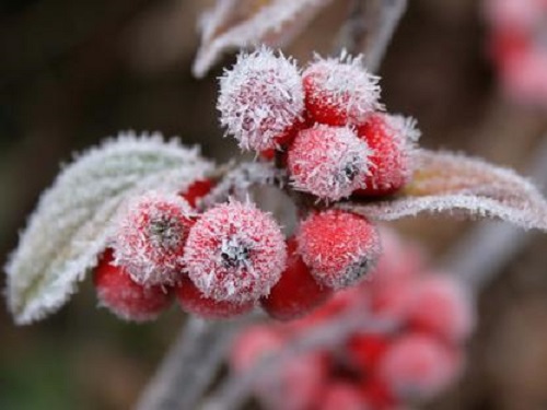 Народные приметы на ноябрь 2019 года