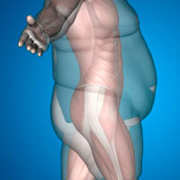 Народные приметы ноября о погоде - толкование по дням недели