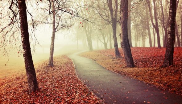 Народные приметы ноября о погоде - толкование по дням недели
