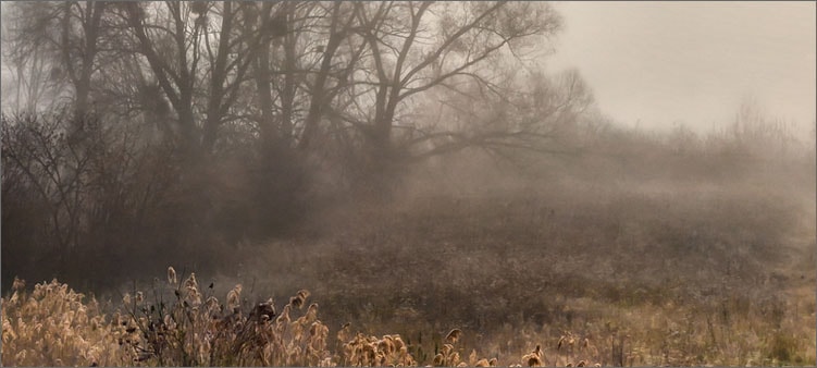 туман-в-ноябре