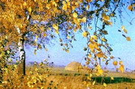 Осень в лесу