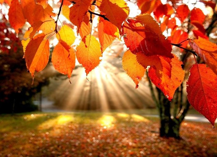 Что такое народные приметы о погоде