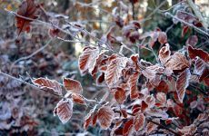 народные приметы на сегодняшний день по погоде