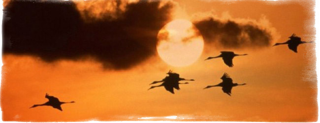 Народные приметы о погоде